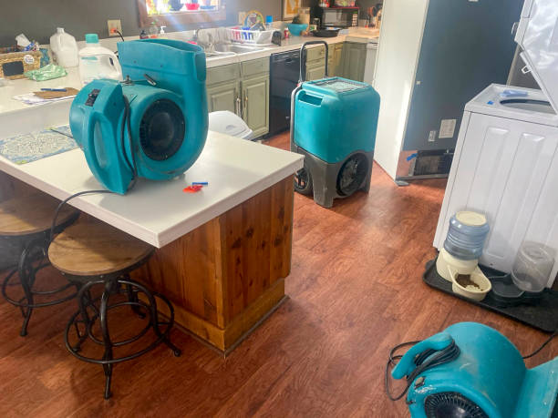 Best 24/7 water damage repair  in Canal Winchester, OH