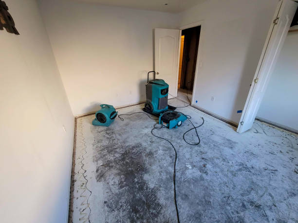 Best Professional water damage repair  in Canal Winchester, OH