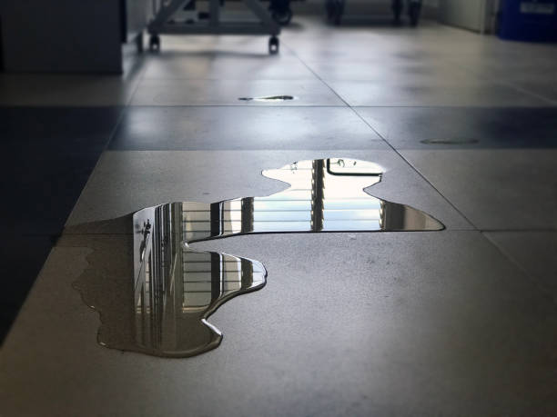 Best Water damage restoration near me  in Canal Winchester, OH