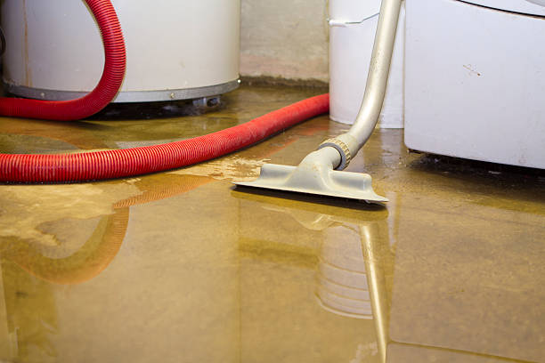 Best Residential water damage restoration  in Canal Winchester, OH