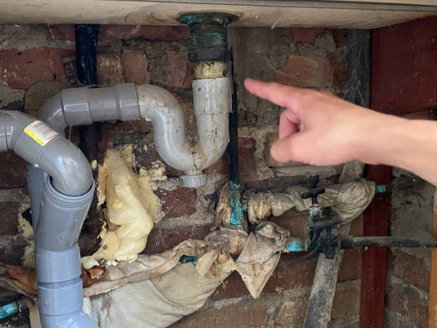 Best Water damage mitigation services  in Canal Winchester, OH